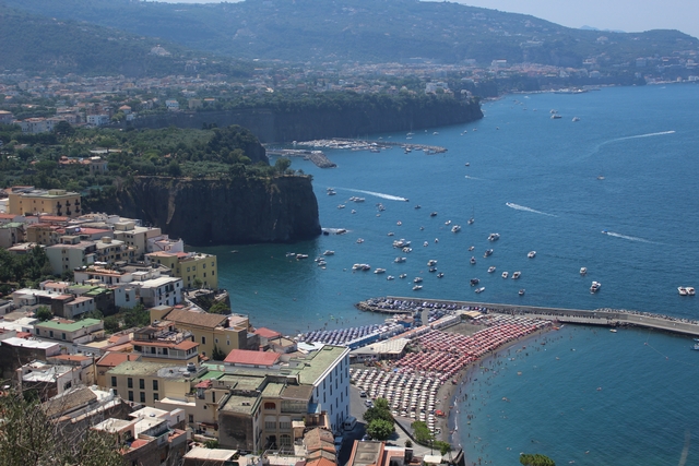 블루와 함께한 신혼여행